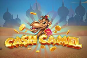 Cash Camel Video Slot